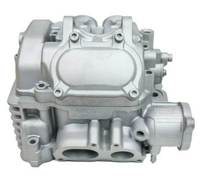 Grizzly 660 cylinder head.jpg